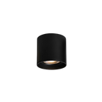 The Futuristic Ring Ceiling Light