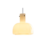 Nordic Flower Shaped Glass Pendant Light