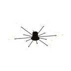 The Fireworks Ceiling Light