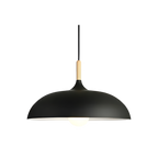 Nordic Style Wood Iron Art Pendant Light