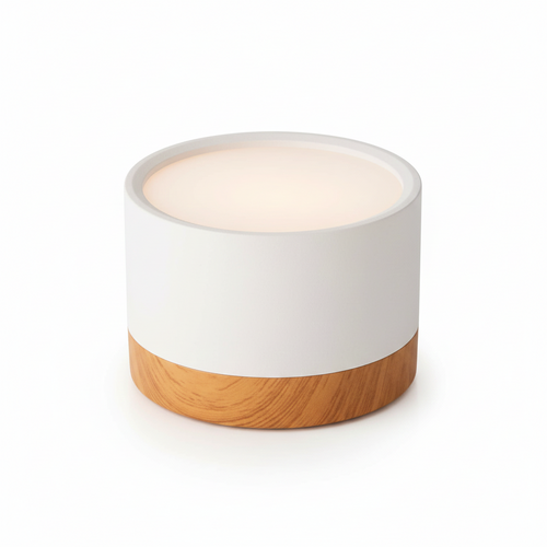Don Nordic Modern Ceiling Light