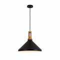 Anitra Nordic Cone Metal Pendant Light