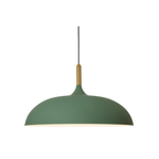 Nordic Style Wood Iron Art Pendant Light