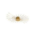 The Fireworks Ceiling Light