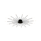 The Fireworks Ceiling Light