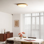 Solara Pebble Modern Metal Ceiling Light