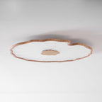 Nerea Lotus Modern Acrylic Ceiling Light