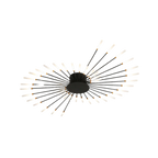 The Fireworks Ceiling Light