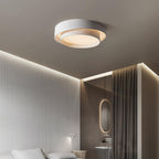 LumiTone Minimalist Acrylic Ceiling Light