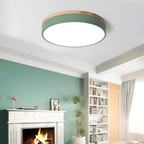 Nordic LED Round Flush Acrylic Minimalist Ceiling Light