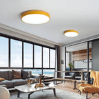 Nordic LED Round Flush Acrylic Minimalist Ceiling Light