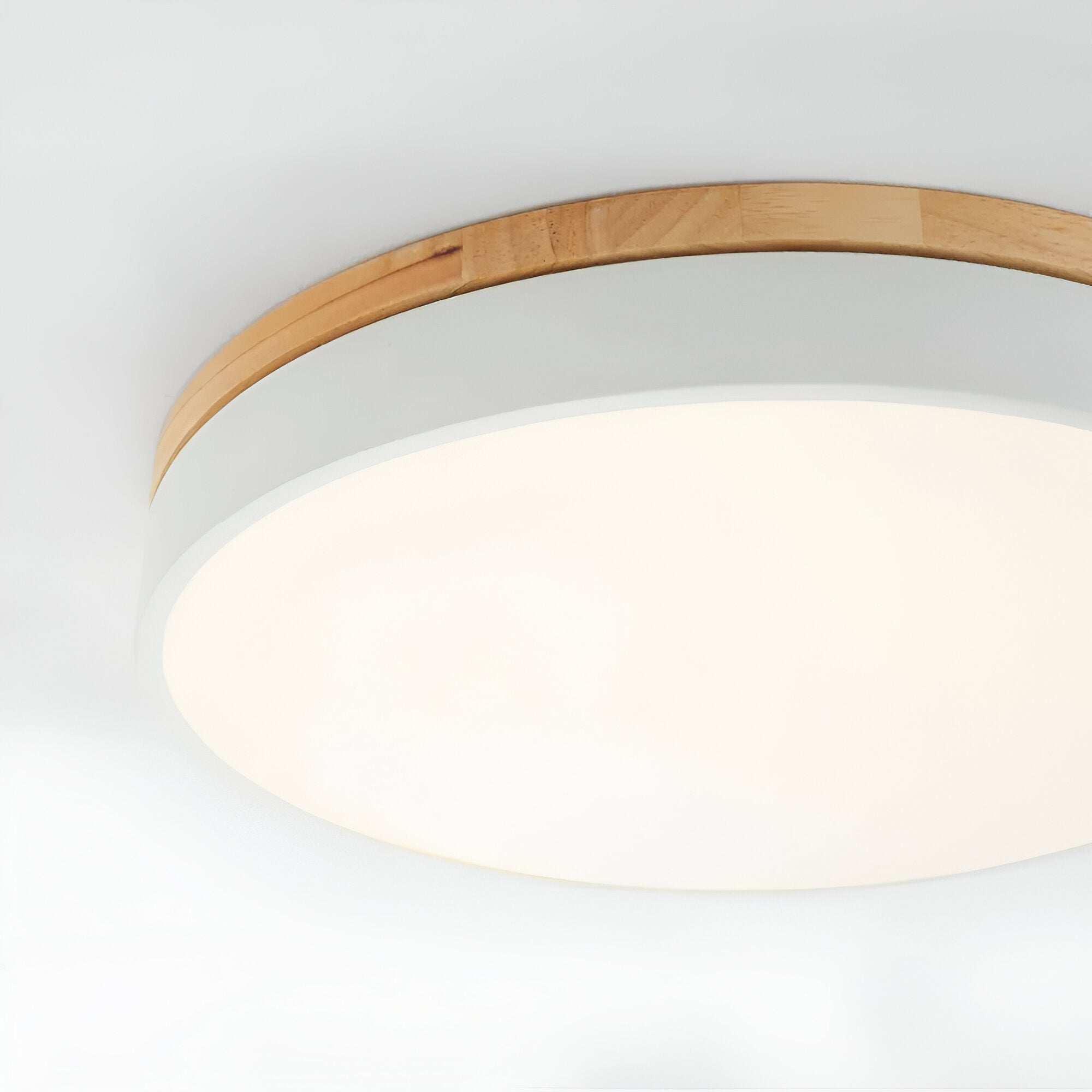 Nordic LED Round Flush Acrylic Minimalist Ceiling Light