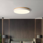 Nordic LED Round Flush Acrylic Minimalist Ceiling Light