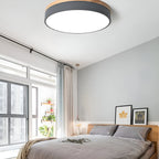 Nordic LED Round Flush Acrylic Minimalist Ceiling Light