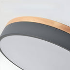 Nordic LED Round Flush Acrylic Minimalist Ceiling Light