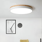 Nordic LED Round Flush Acrylic Minimalist Ceiling Light