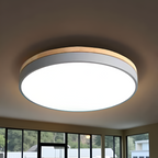 Nordic LED Round Flush Acrylic Minimalist Ceiling Light