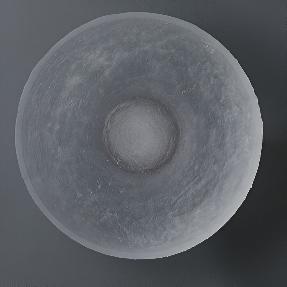 Seren Nordic Resin Round Wall Lamp
