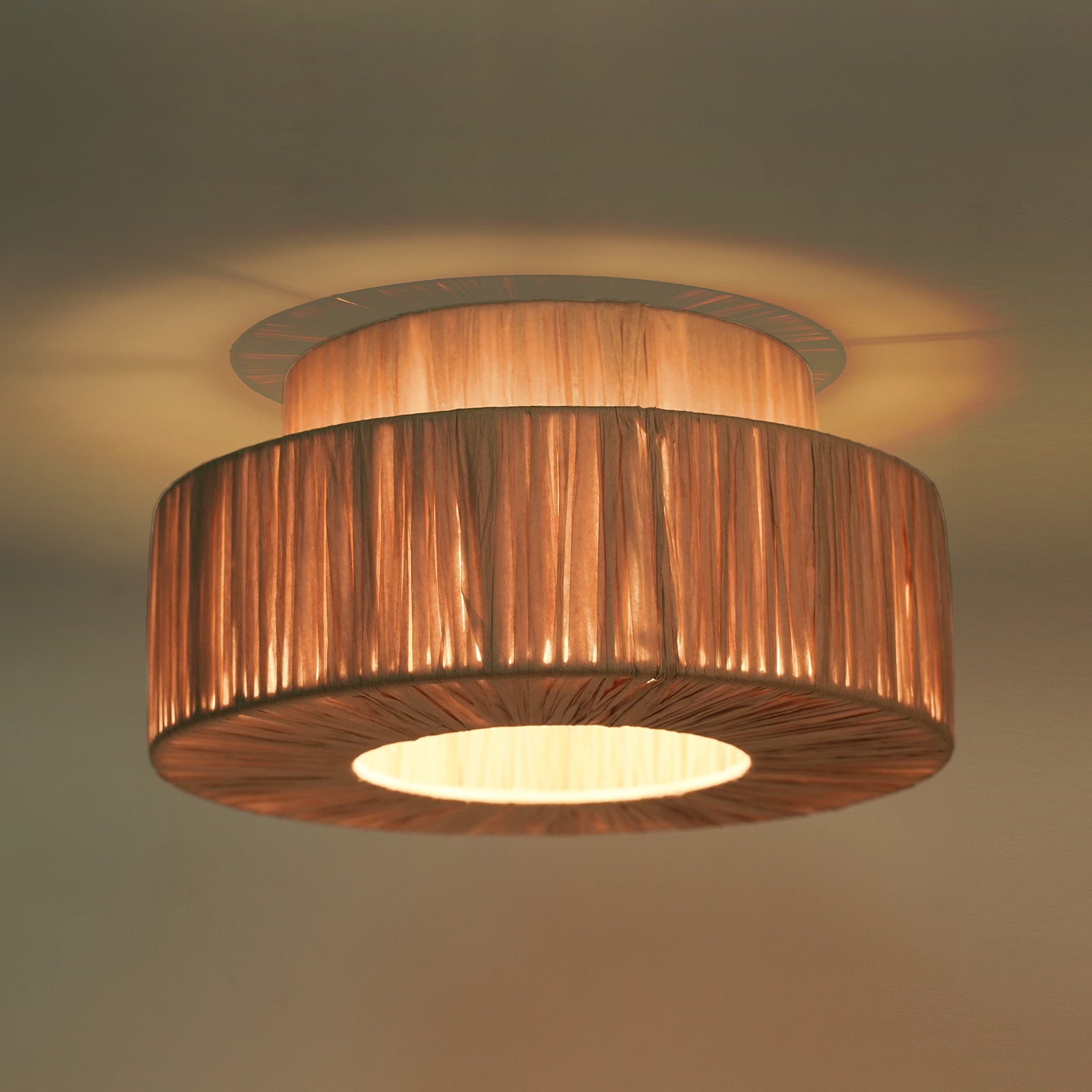 Modern Boho Rattan Double-Layer Plant Ceiling Light