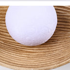Nordic Zen Leaf Japanese-Style Wall Light