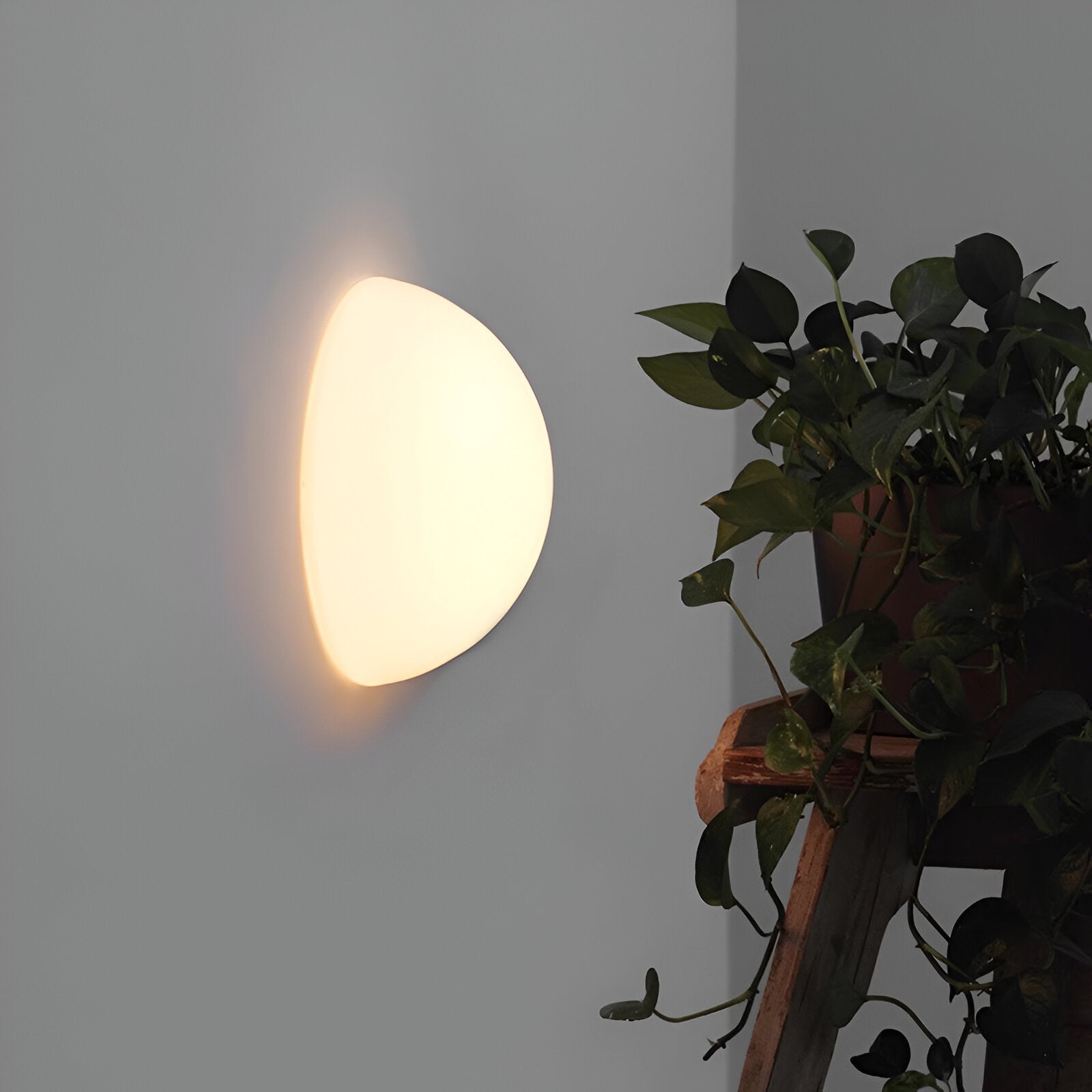 Nordic Bubble Ball Wall Light