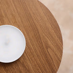 Nordra Nordic LED Ceiling Light