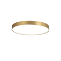 Radiant Ring of Light