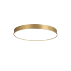 Radiant Ring of Light