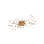 The Fireworks Ceiling Light