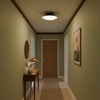 Dylan Retro Metal Ceiling Light