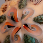 Retro Colorful Natural Shell Handcrafted Brass Pendant Light