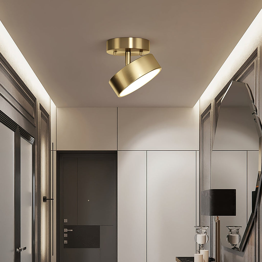 Celestial Luminary Ceiling Light