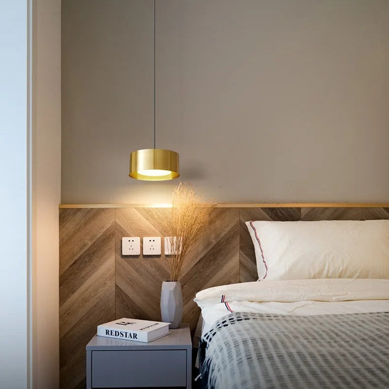 Liora Modern Acrylic Pendant Light