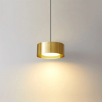 Liora Modern Acrylic Pendant Light