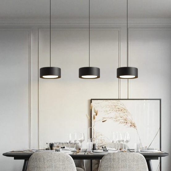 Liora Modern Acrylic Pendant Light
