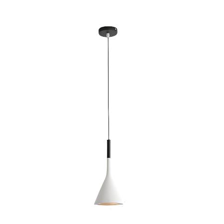 Magna Minimalist Metal Pendant Light