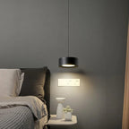 Liora Modern Acrylic Pendant Light