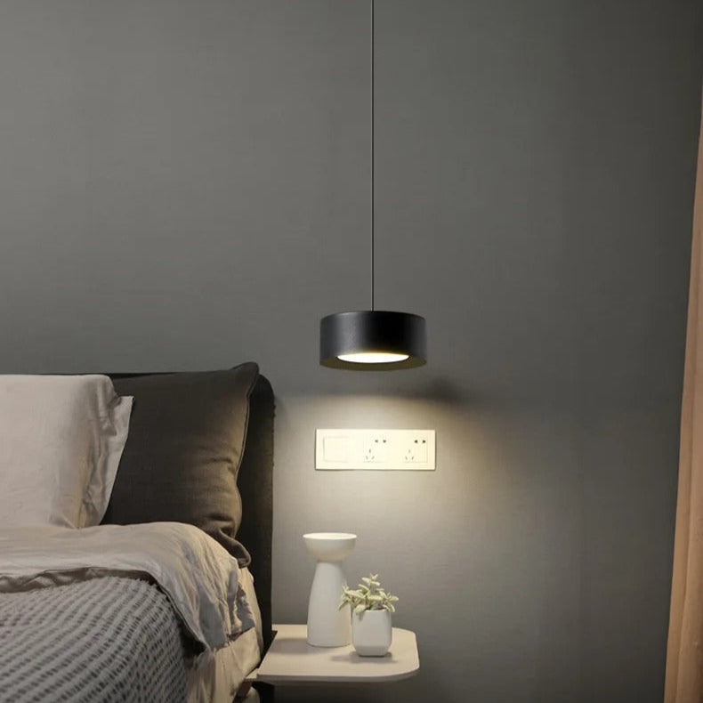 Liora Modern Acrylic Pendant Light