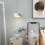 Liora Modern Acrylic Pendant Light