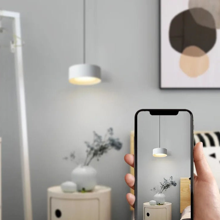 Liora Modern Acrylic Pendant Light