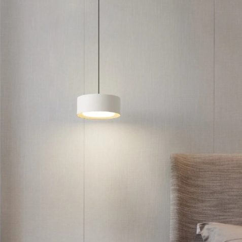 Liora Modern Acrylic Pendant Light