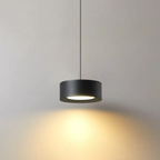 Liora Modern Acrylic Pendant Light