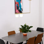 Satellite Ceiling Nordic Pendant Light