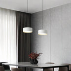 Liora Modern Acrylic Pendant Light