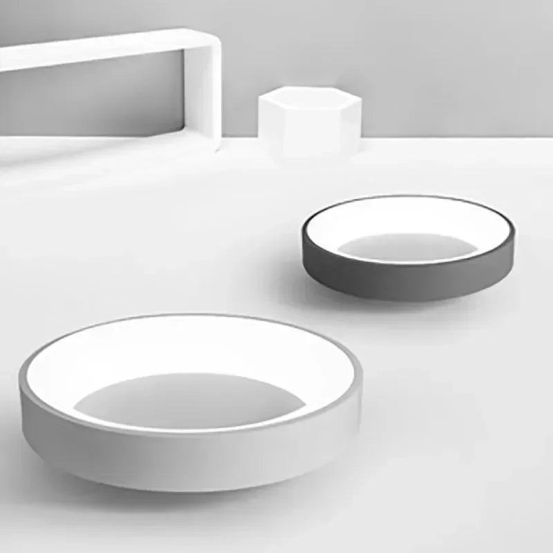 Nordic Modern Ring Shaped LED Ceiling Light