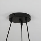 Sienna Nordic Acrylic Bird Round Pendant Light
