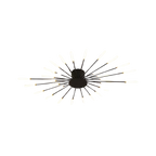 The Fireworks Ceiling Light