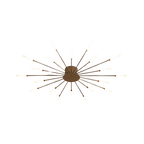 The Fireworks Ceiling Light
