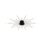 The Fireworks Ceiling Light