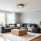 Vaako Nordic Acrylic LED Ceiling Light